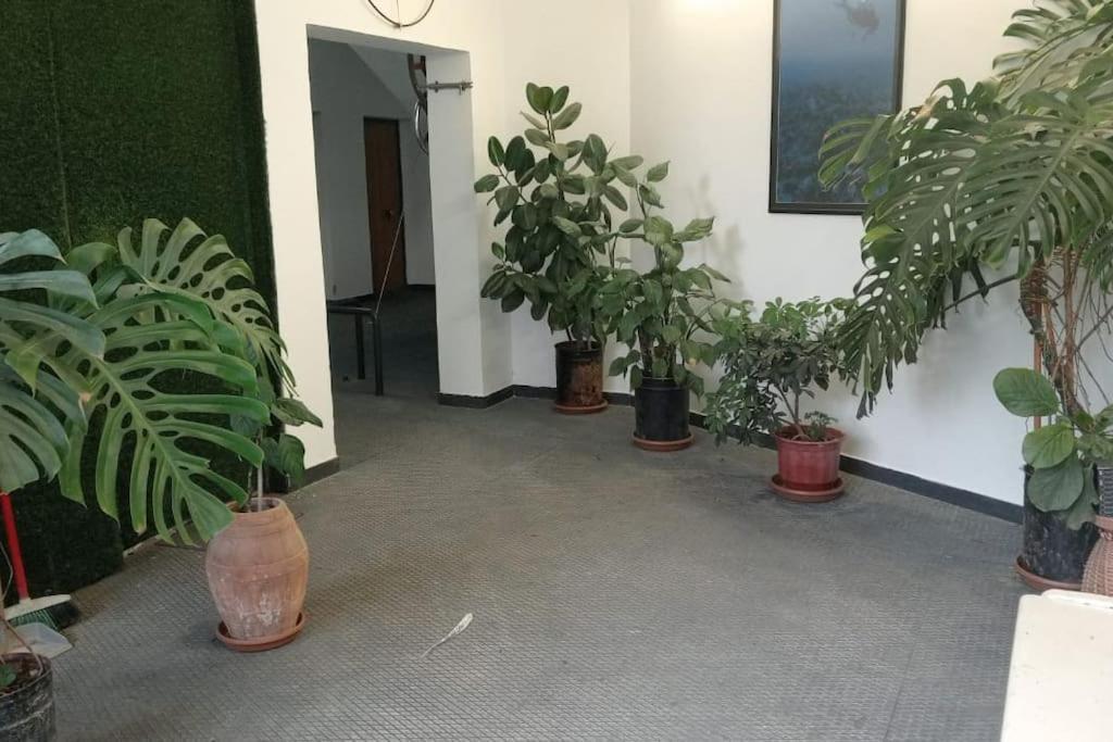 Pazari_Ri_Studio Daire Tiran Dış mekan fotoğraf