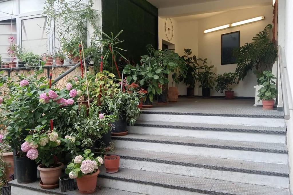 Pazari_Ri_Studio Daire Tiran Dış mekan fotoğraf